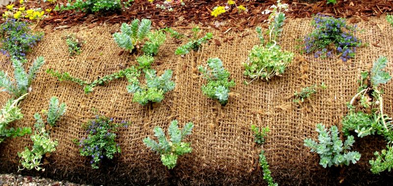 Summer Stabilization