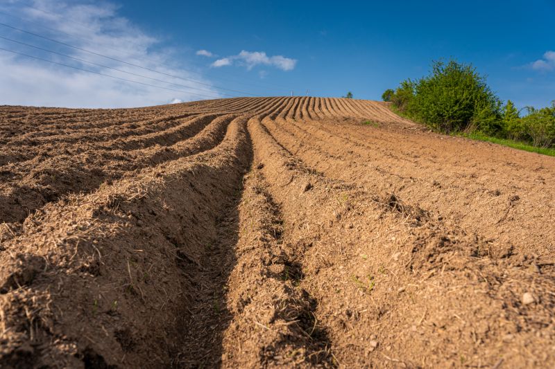 Slope Stabilization with Vegetation