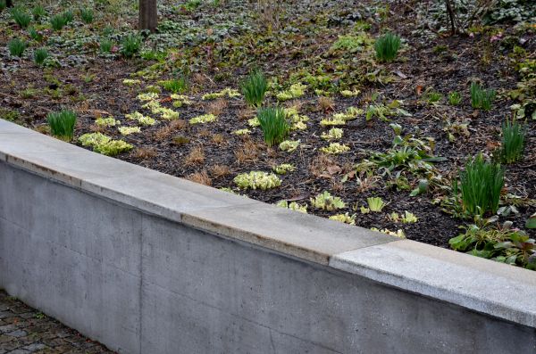 Erosion Service